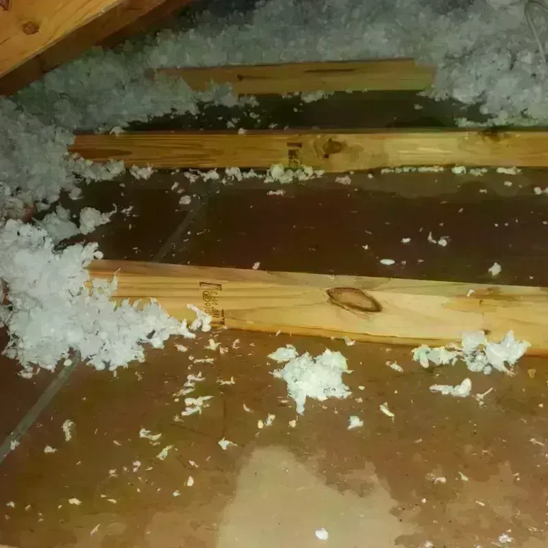 Attic Water Damage in Winooski, VT